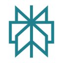 Perplexity AI