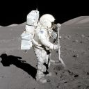 Will the Doge-1 Lunar Mission launch by...?