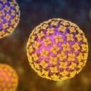 Hantavirus pandemic in 2026?