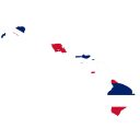 Hawaii Governor Election Winner
