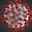 New pandemic in 2026?